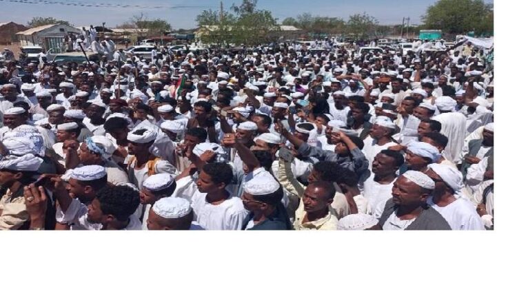 مواطنو المعيلق يسيرون قافلة دعم للقوات المسلحة