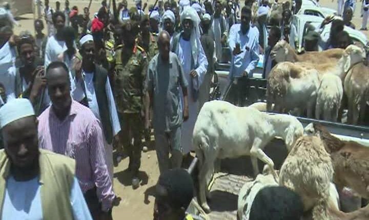 نظارة الهدندوة تسير قافلة لدعم القوات المسلحة