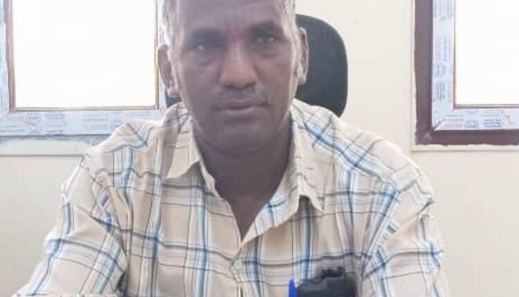 الشمالية تكمل حصاد اكثر من ٩٠ألف فدان قمح