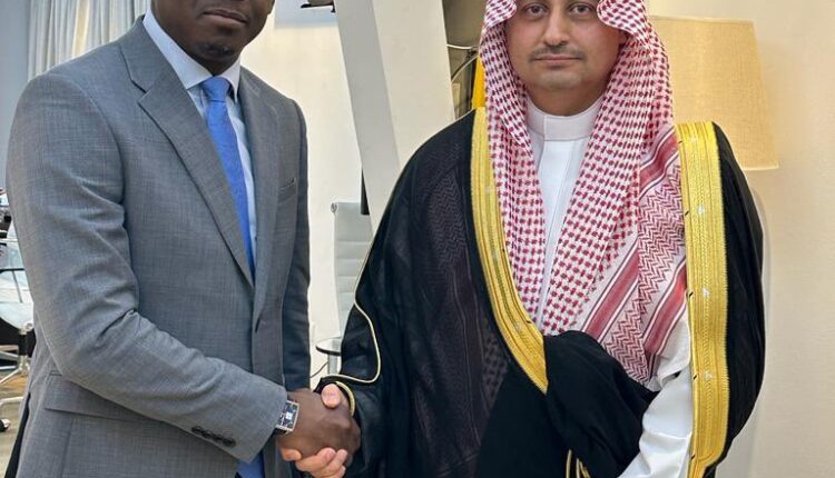 سفير المملكة لدى الغابون يلتقي وزير الخارجية الغابوني ورئيسة مجلس الشيوخ
