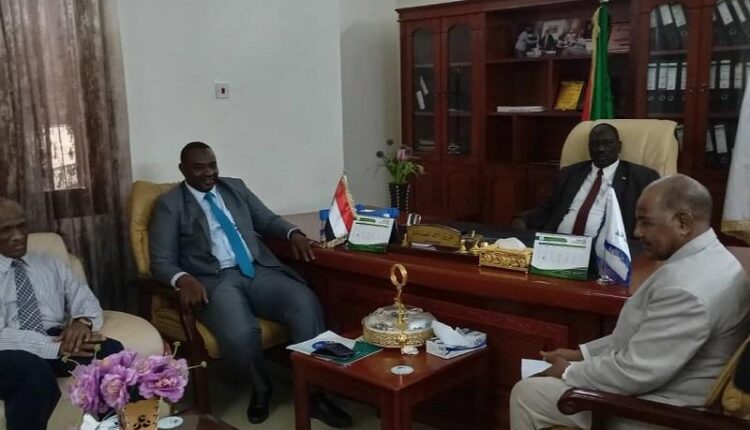 بادي: الحرب الدائرة بالبلاد لإضعاف الدولة