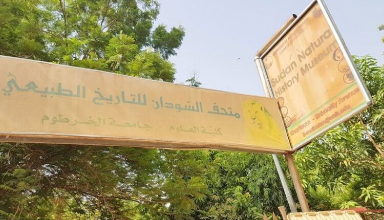 صور أقمار صناعية تكشف عن أضرار كبيرة بمتحف السودان للتاريخ الطبيعي