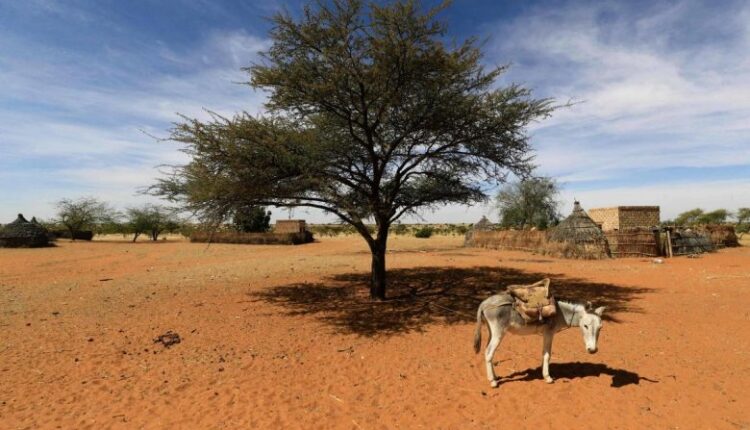 السودان: النزاع يعطّل المحاصيل الزراعية ويزيد خطر المجاعة