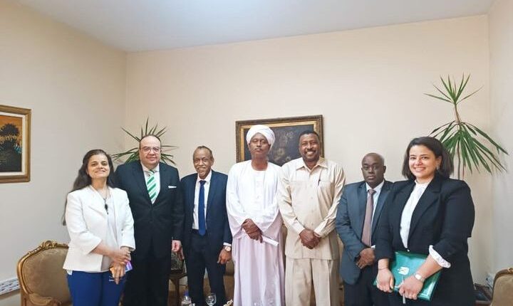 مصر تعتزم افتتاح قنصلية في دنقلا