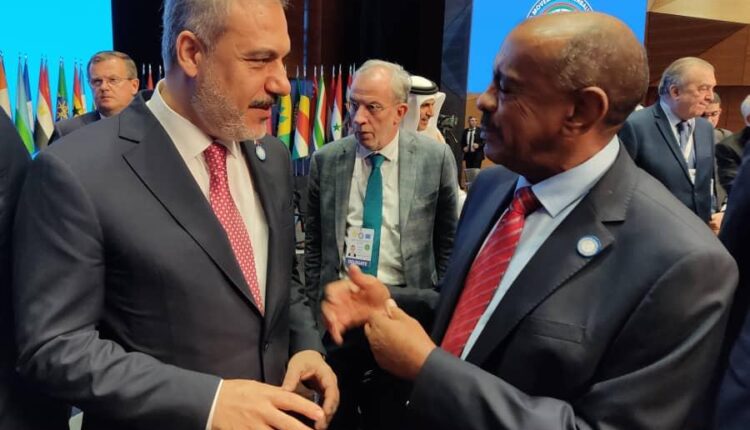 وزير الخارجية يلتقي بنظيره التركي