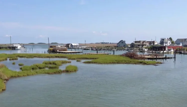 جزيرة قرب واشنطن مهددة بالاختفاء من الوجود