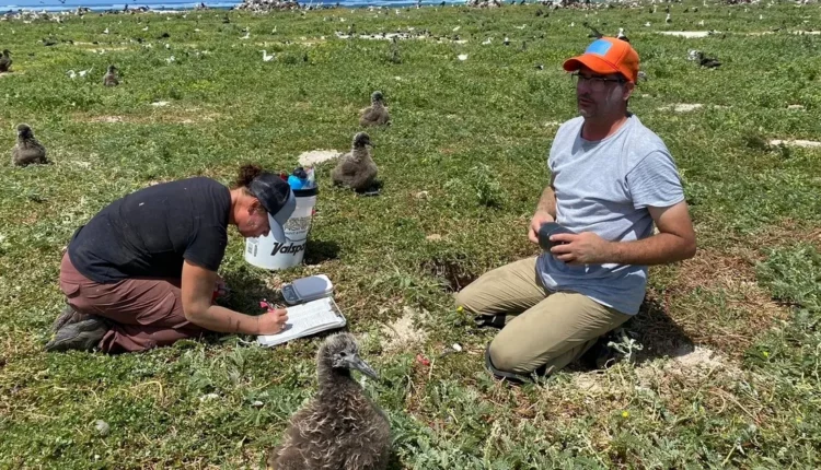 مع تغير المناخ.. أميركا تسمح بنقل الأنواع المهددة بالانقراض