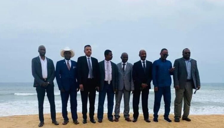 مؤتمر «توغو» يوصي باجراء تحقيق دولي في أحداث الجنينة