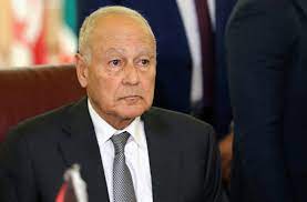 أحمد أبو الغيط