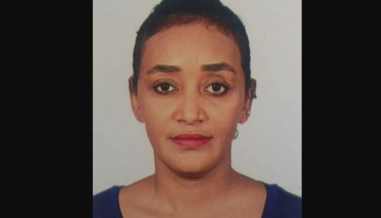 صفاء الفحل تكتب قمة دول الجوار.. قمة التسول باسم السودان..مصر اشعلت الحرب