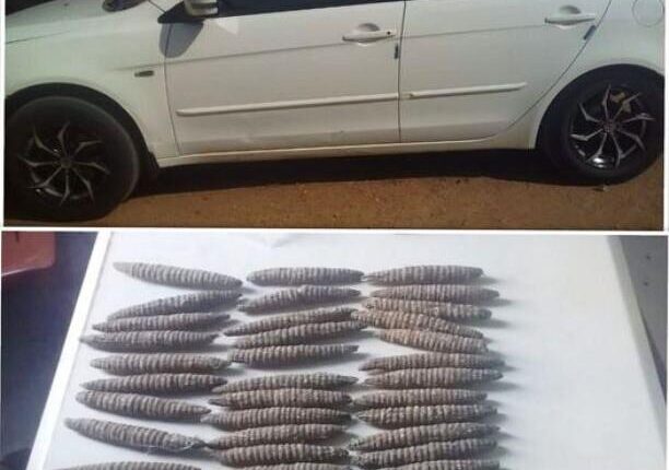 ضبط فتاتين بحوزتهما حشيش مهرب إلى ود مدني