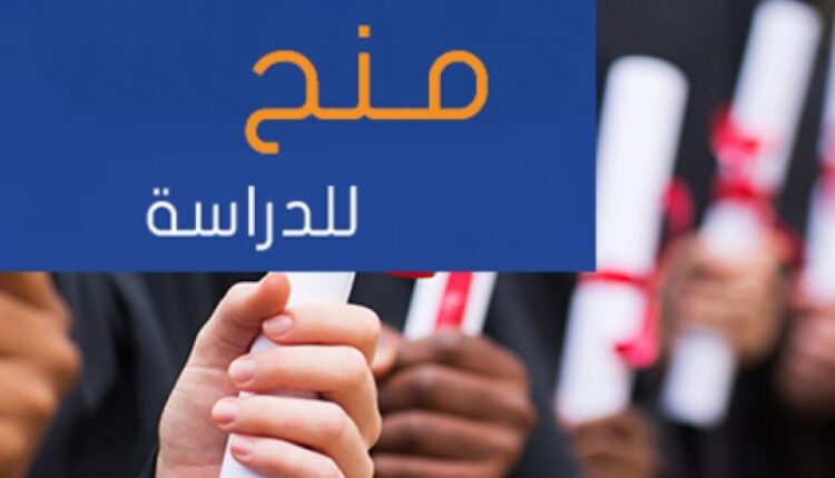 معهد جوتة يُقدم منحًا للسودانيين في مجال الثقافة