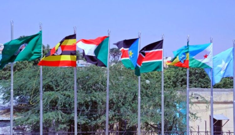 رئيس كينيا: “إيقاد” ومنبر جدة يجب أن يعملا معاً لإنهاء القتال بالسودان