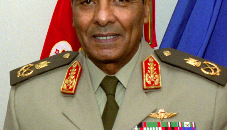 محمد حسين طنطاوي