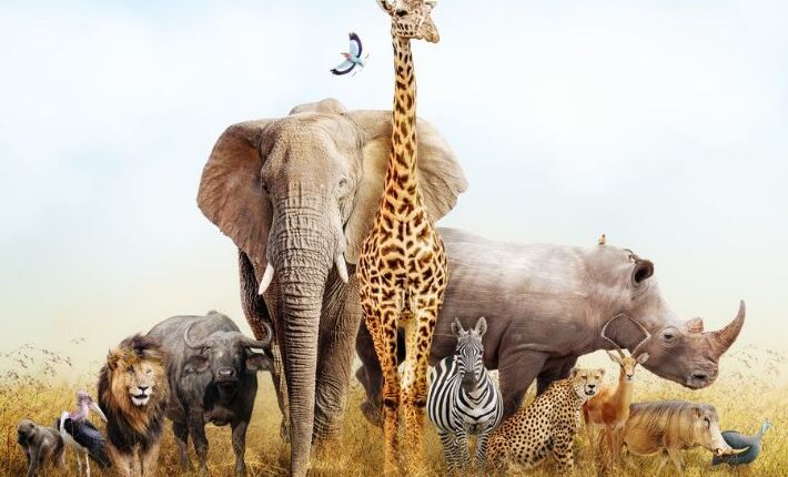 اليوم العالمي للأحياء البرية3 آذار/مارس