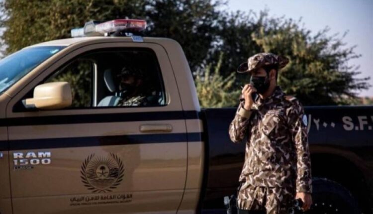 ضبط 6 مخالفين لنظام البيئة لارتكابهم مخالفة الصيد دون ترخيص بتبوك