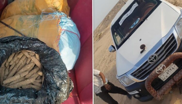 القبض على أحد أخطر تجار المخدرات بعد هروبه