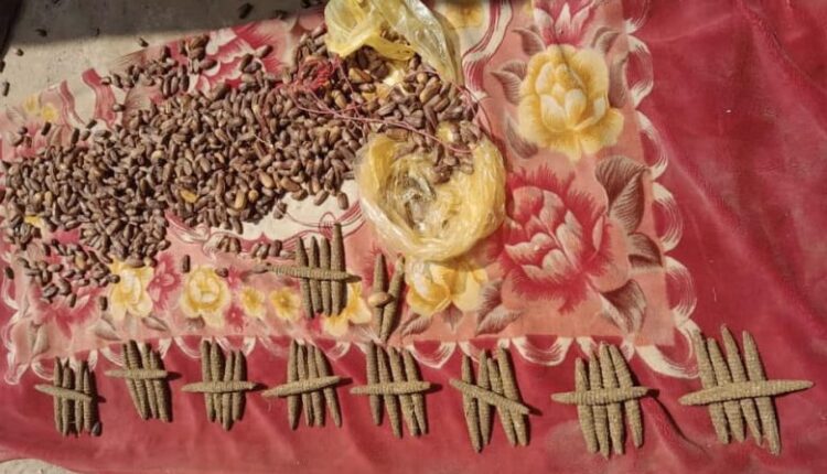 ضبط 47 راس بنقو مخبأة داخل كرتونة بلح