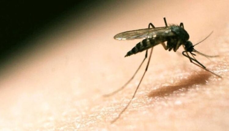 آلاف الاصابات بمرض الملاريا شمال دارفور