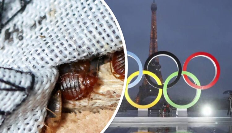 حشرة” تهدد اولمبياد باريس 2024