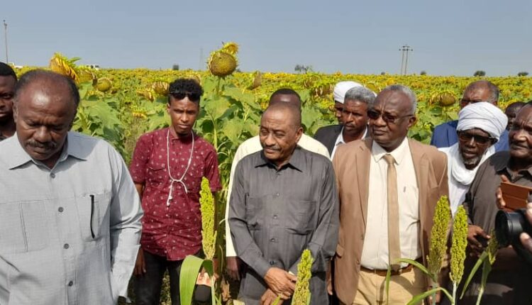 اللجنه العليا لانجاح الموسم الزراعي تتفقد مشروع ابونعامه والمشاريع المطريه بسنار