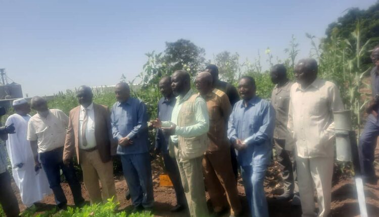 رئيس اللجنه العليا لانجاح الموسم الزراعي … الموسم الزراعي ومساعى لتأمين عمليات الحصاد وحمايته