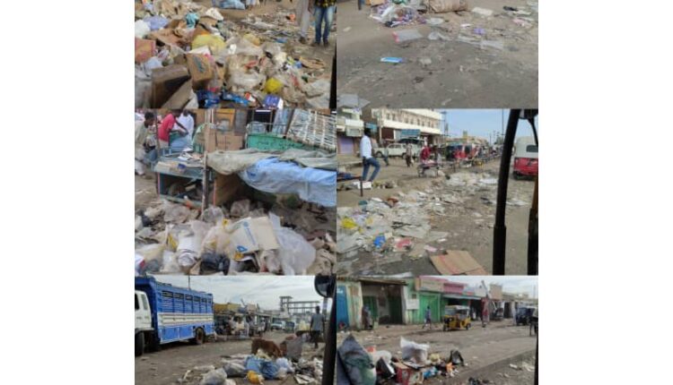 مشروع النظافةنجح فى الأحياء وفشل فى غيرها:جولة لكاميرا(الأيام نيوز)تكشف تردى خطير للبيئة بسوق الدويم