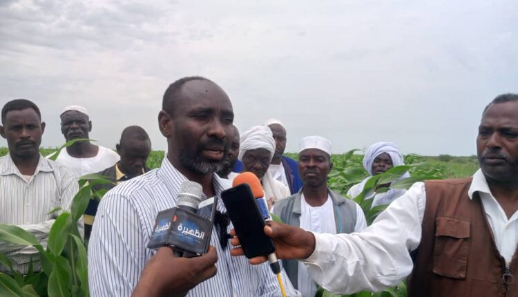 السوكى …. العوده الى دائرة الانتاج