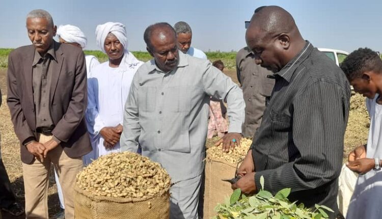 وزير الزراعة والغابات يشهد حصاد المحاصيل بهيئة الرهد الزراعية للموسم الصيفي ٢٠٢٣