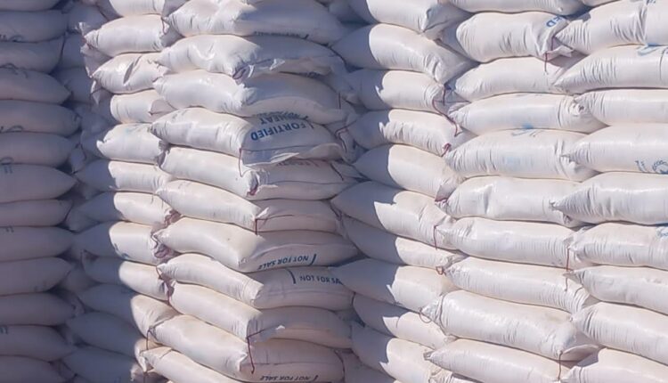 برنامج الأغذية العالمي يستهدف مراكز الإيواء بوادي حلفا