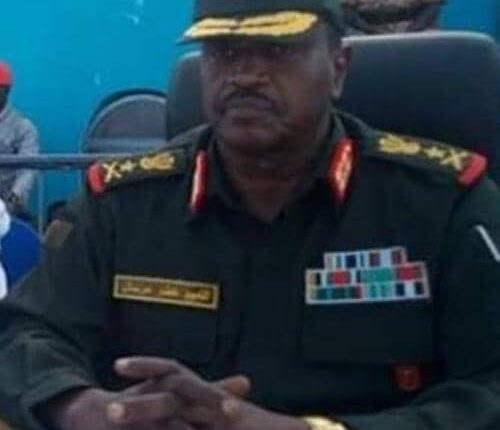 الفريق الركن النعيم خضر مرسال يكتب : الحفر بالإبره