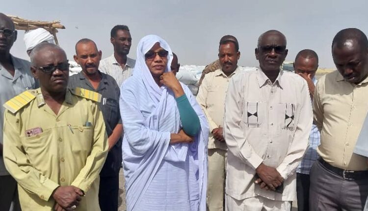 انطلاق عمليات حصاد محصول القمح وزهرة الشمس بمشروع قلي الزراعي بولاية النيل الابيض